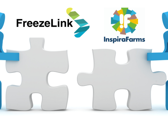 InspiraFarms and FreezeLink  partner to build cold chain in Ghana