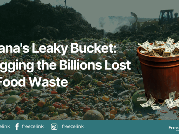 Ghana’s Leaky Bucket: Plugging the Billions Lost to Food Waste