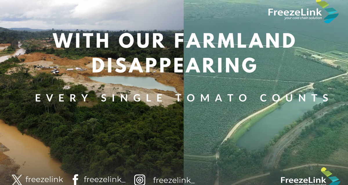 With Our Farmland Disappearing, Every Single Tomato Counts.
